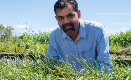 A man in a blue shirt with a beard stands behind trays of grass-like plants